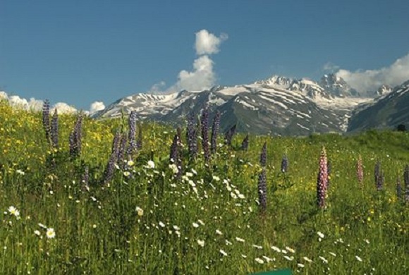 Nagin-valley-Gulmarg-kashmir