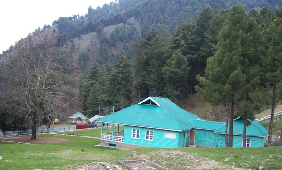 chinar-kishtwar-1