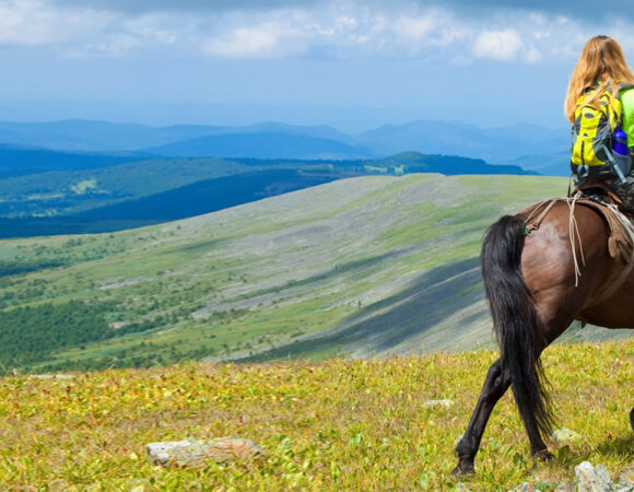 Pony Ride in Jammu and Kashmir