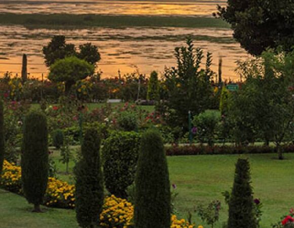 NISHAT BAGH IN SRINAGAR