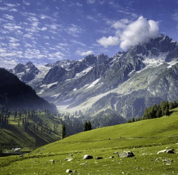 KASHMIR BUDGET TOUR PACKAGE ( 5 NIGHTS & 6 DAYS )