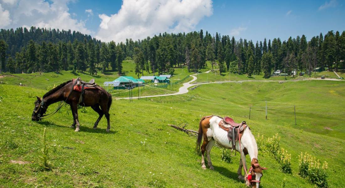 Gulmarg Kashmirhills.com