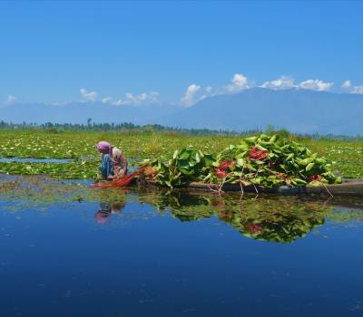 Wular Lake Kashmirhills.com