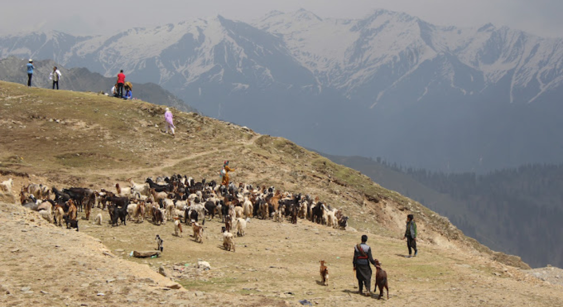 Attraction of Sinthan Top Kashmir hills.com