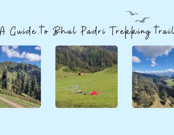 A Guide to Bhal Padri Trekking trail