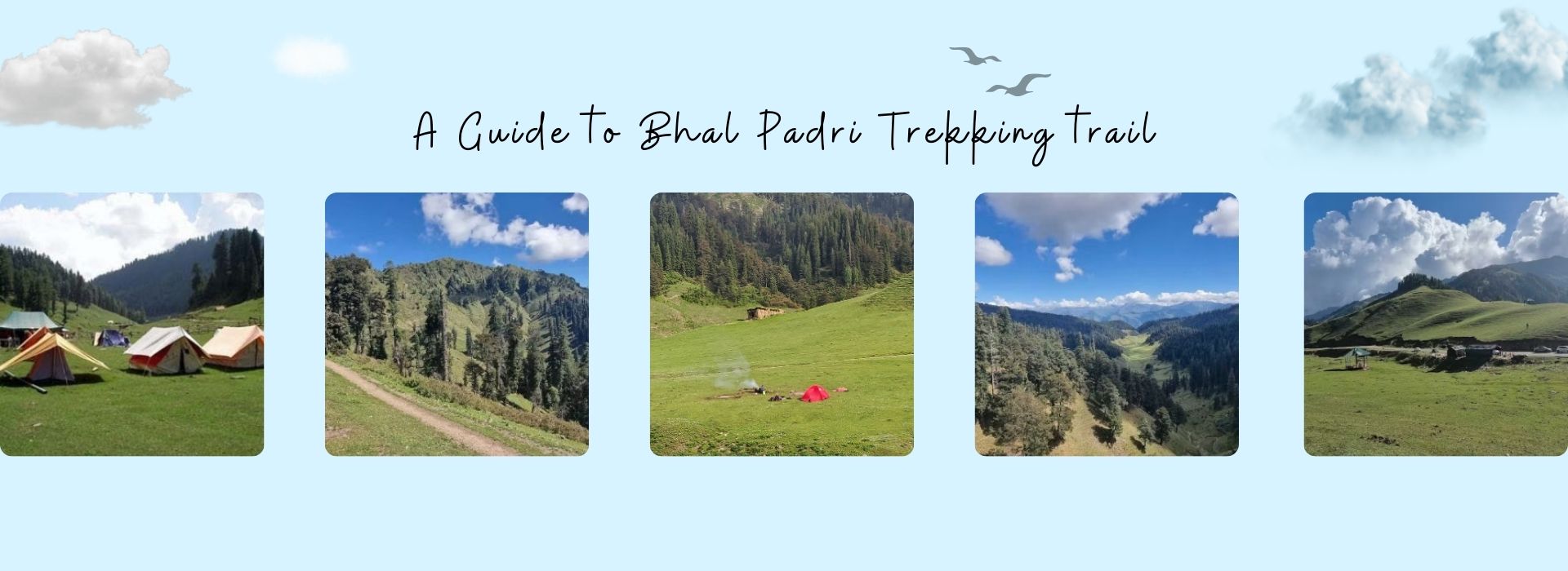 A Guide to Bhal Padri Trekking trail kashmishills.com