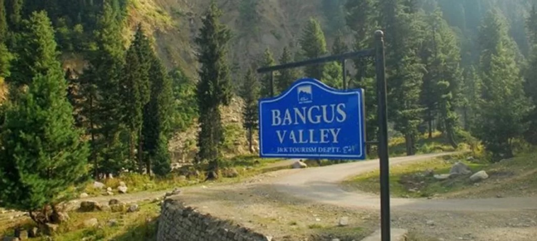 Bungus Valley Kashmirhills.com