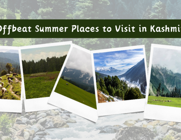 Offbeat Summer Places to Visit in Kashmir