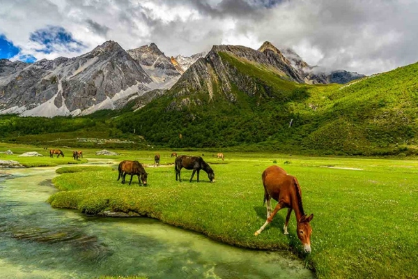 Biosphere Reserve Gulmarg Kashmirhills.com