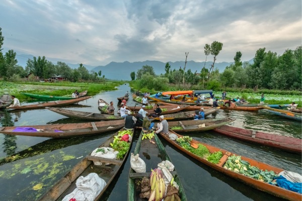 Floating Vegetable Market KAshmirhills.com