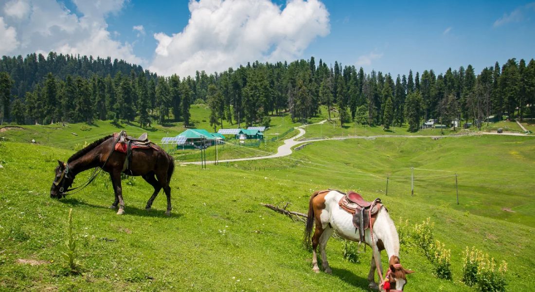 Gulmarg Kashmirhills.com