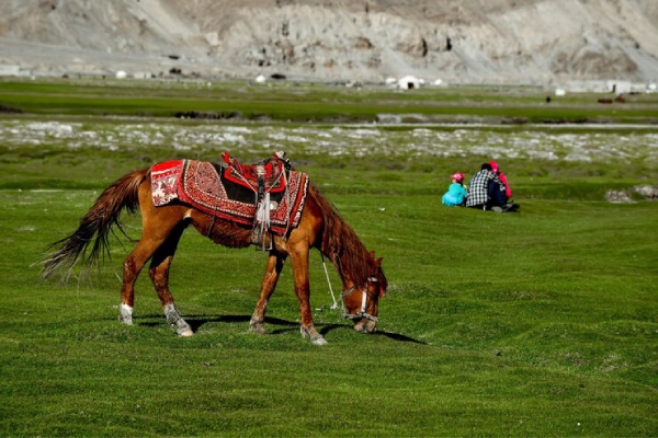 Horse Riding in pahalgam in Kashmirhills.com