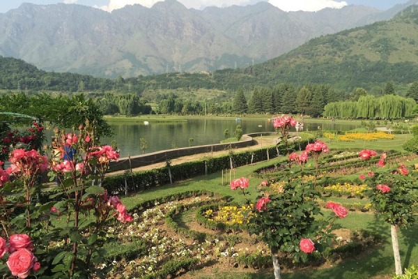 Jawaharlal Nehru Botanical Garden- Srinagar Kashmirhills.com