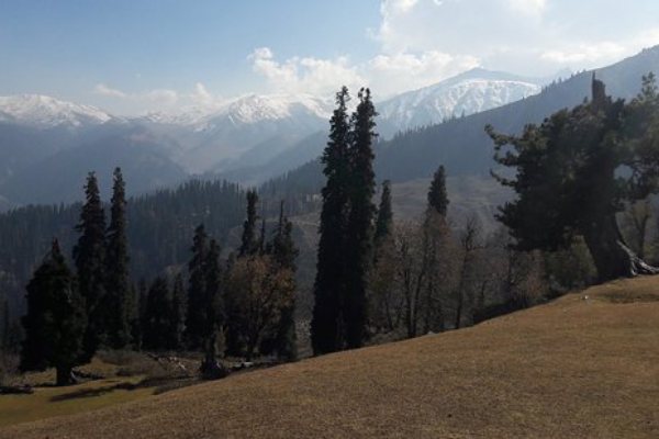 Kongdori Valley- Gulmarg Kashmirhills.com