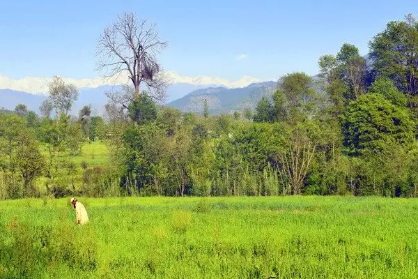 Nagin Valley – Gulmarg Kashmirhills.com