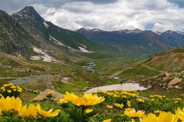 Nichnai Sonmarg Kashmirhills.com