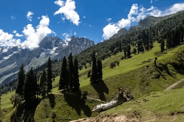 Nilagrad Kashmirhills.com