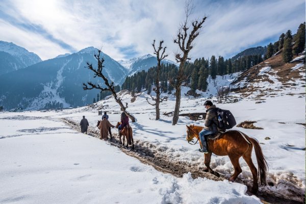 Seven Springs – Gulmarg kashmirhills.com