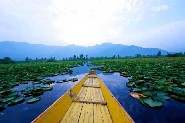 Shikara ride kashmirhills.com