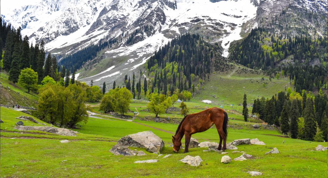 Sightseeing in Sonamarg Kashmirhills.com