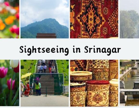 Top Sightseeing Spots & Tourist Places of Srinagar