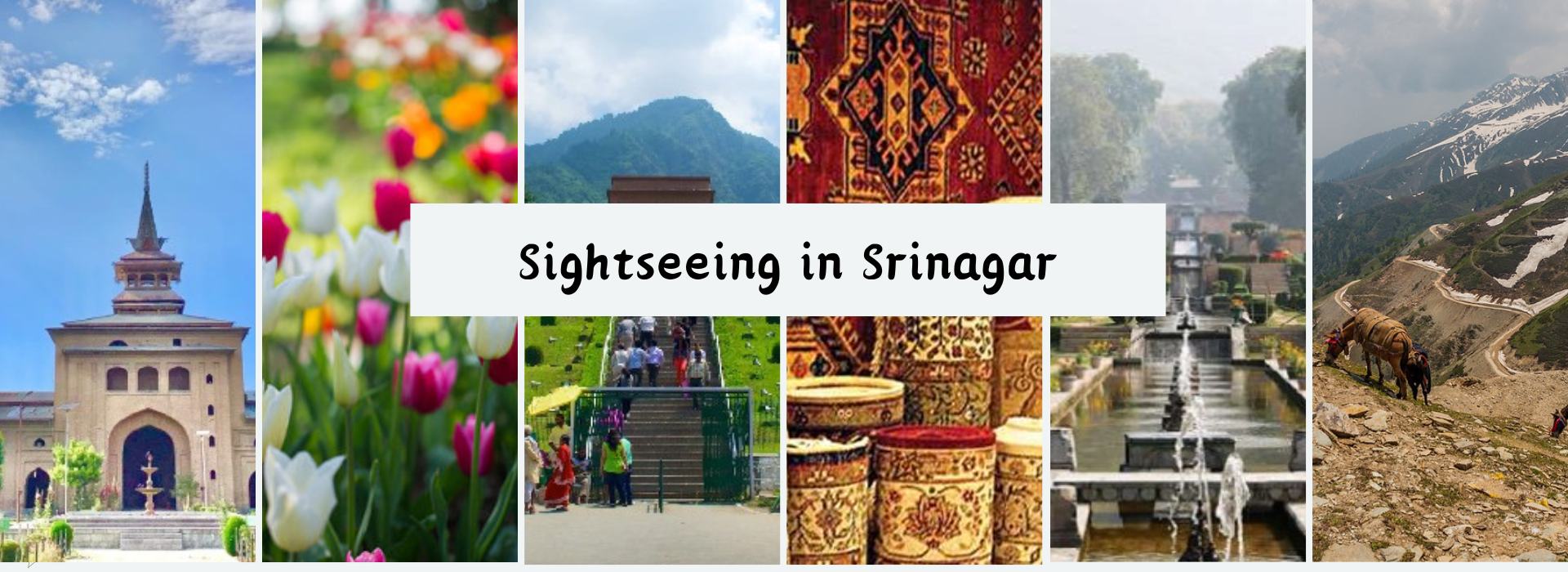 Sightseeing in Srinagar Kashmirhills.com