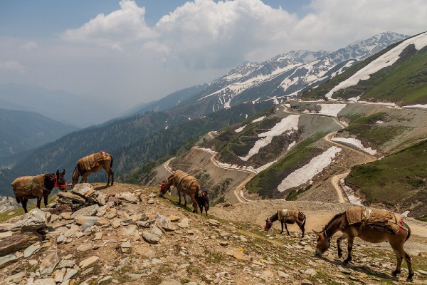 Sinthan Top – Srinagar Kashmirhills.com