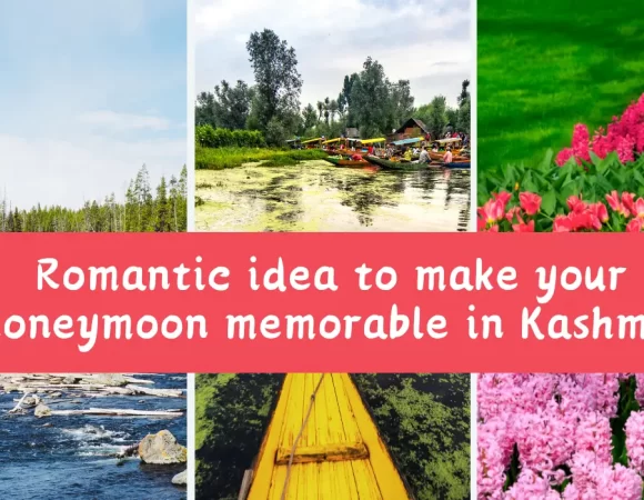 Romantic idea to make your honeymoon memorable in Kashmir