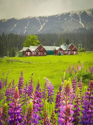 kashmir wedding in kashmir