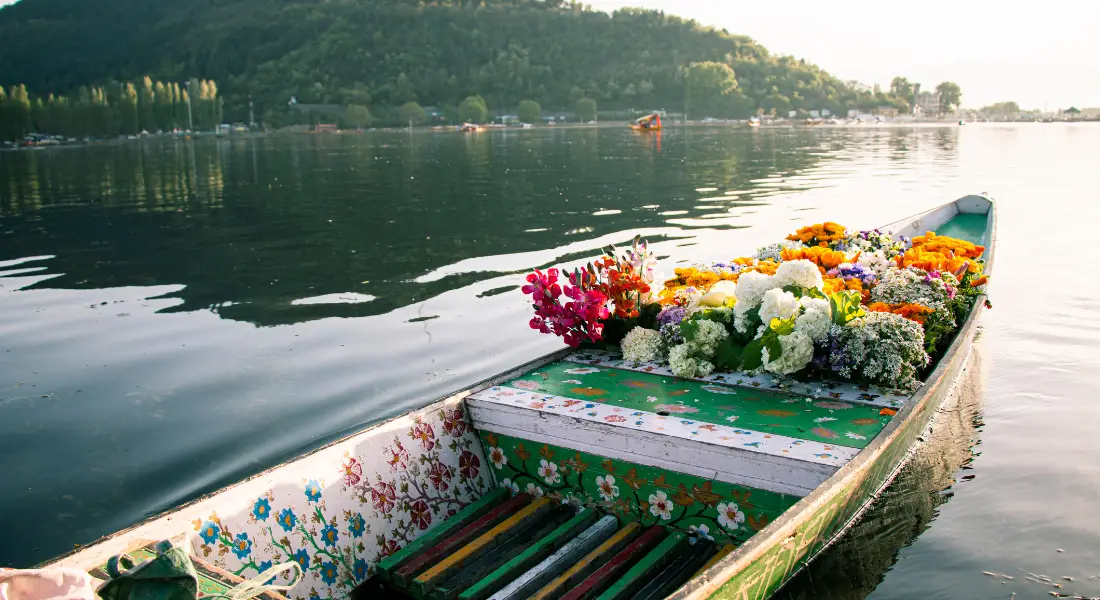 honeymoon memorable in Kashmirhills.com (4) (1)