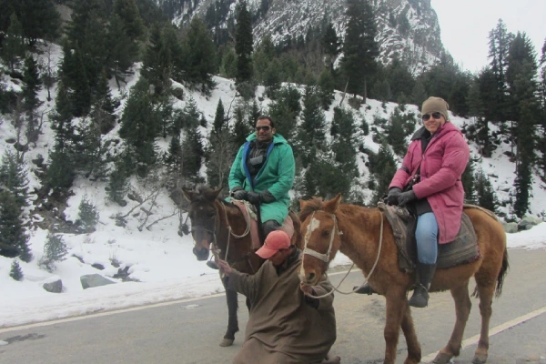 ponyride kashmirhills.com (3)